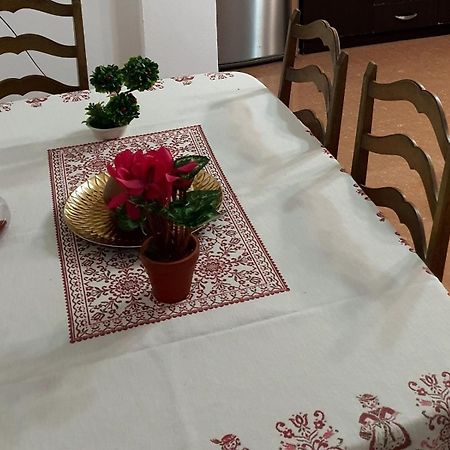 City Center Apartment Shkodra Kültér fotó